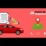 TENENCIA VEHICULAR