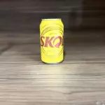 Cerveja Skol LT