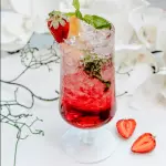 Soda frutos rojos