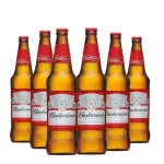 Caja x 12 Budweiser 600ml retornable