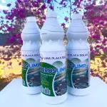 LAVA PLACA SOLAR 1L KAIROSLIMP