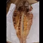DOURADA INTEIRA
