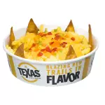 Cheesy Fries