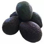 Aguacate orgánico x unidad