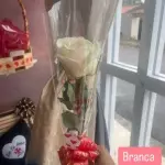 Botão de rosa branca