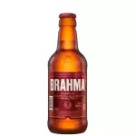 BRAHMA DUPLO MALTE 300ML