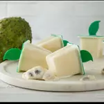 SOURSOP  ICE CREAM (GUANABANA)