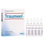 Traumell Ampolla