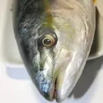 CABEZAS DE JUREL