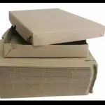 Cajas para Ravioles x 10u
