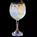 GIN TÔNICA