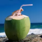 COCO VERDE