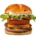 **CATUPIRY BURGER**