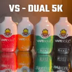 VS-Dual 2 EM 1 (5000 Puffs) R$60,00