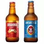 chopinho Brahma/Antártica balde