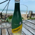 Ginger Ale