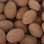 Almendra Cocoa 100 gr.