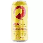 CERVEJA SKOL PILSEN 473ML