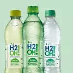 H2O