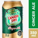 Ginger Ale 350cc
