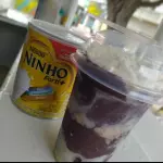 LEITE NINHO