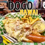 DOGO HAWÁI