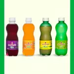 Convensão abacaxi 350ml