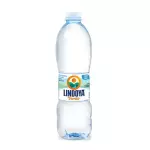 Água Mineral Sem Gás Garrafa 510ml
