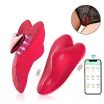 Vibrador de Calcinha Red Heart