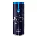 Tônica Antarctica Intense 350ml
