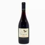🇨🇱 TERRA RESERVA PINOT NOIR