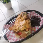 Dogo embarazado