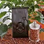 Café  de especialidad