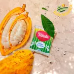POLPA DE CACAU