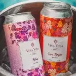 VIÑA VIEJA LATA 473 ML