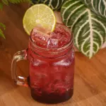 SODA FLOR DE JAMAICA Y JENGIBRE