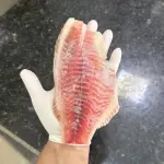 Filé de tilápia G