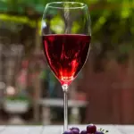 Vino tinto