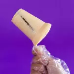 Mantecado