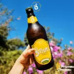 Chopp Stempel Pineapple