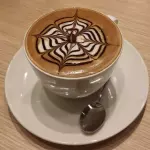MOCCA