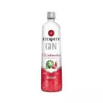 ETERNITY MELANCIA 900ML