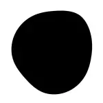 NEGRO/BLACK