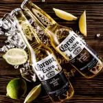 Coronita