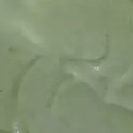 Maionese Verde