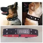 COLLAR DE PASEO