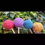 manzana arcoiris