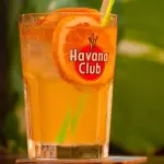 Coctel Screwdrier
