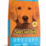 Special dog Junior