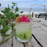 Caipiriña